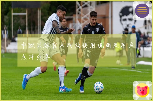 中欧买球官方网站使用说明及用户点评分享