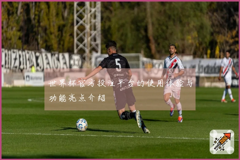 世界杯官方投注平台的使用体验与功能亮点介绍