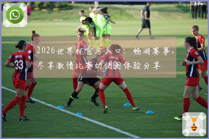 2026世界杯官方入口：畅游赛事，尽享激情比赛的使用体验分享
