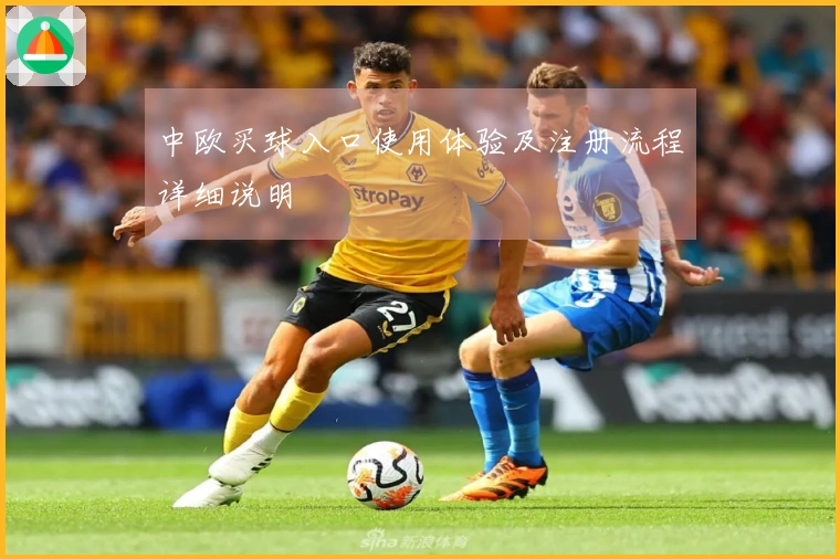 中欧买球入口使用体验及注册流程详细说明