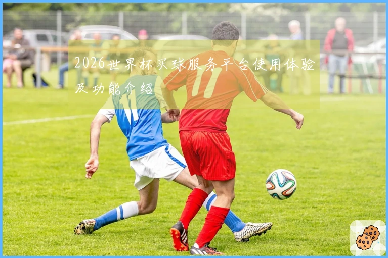 2026世界杯买球服务平台使用体验及功能介绍