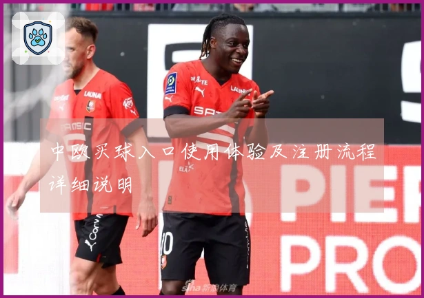 中欧买球入口使用体验及注册流程详细说明