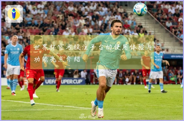 世界杯官方投注平台的使用体验与功能亮点介绍