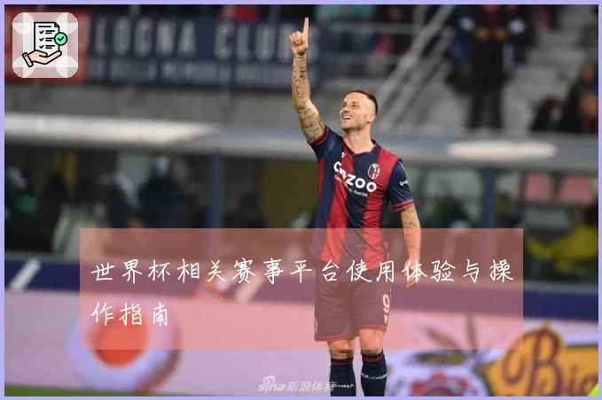 世界杯相关赛事平台使用体验与操作指南