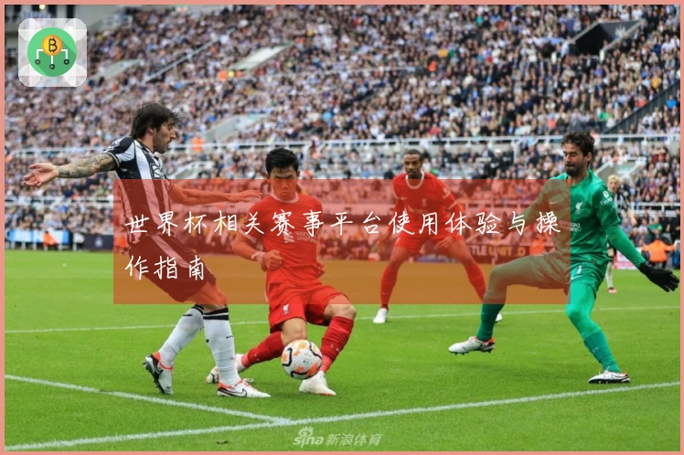 世界杯相关赛事平台使用体验与操作指南