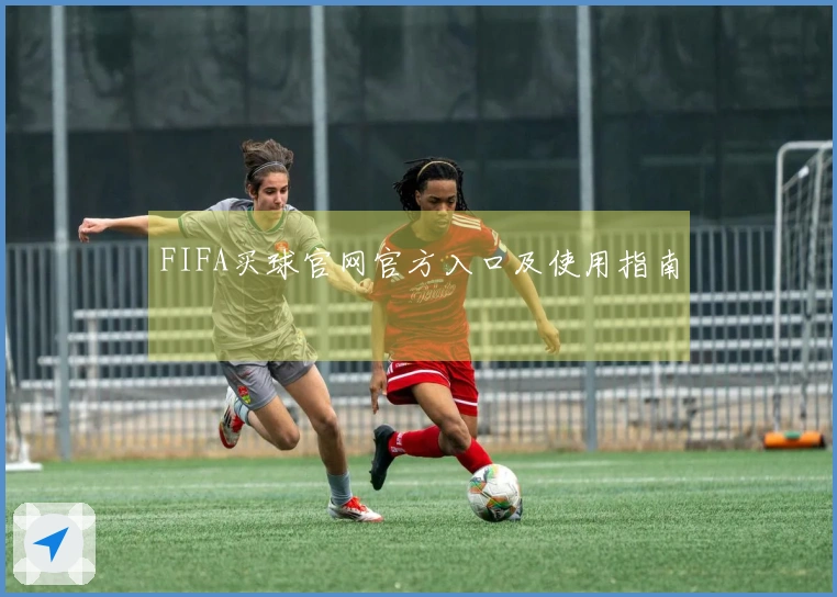 FIFA买球官网官方入口及使用指南