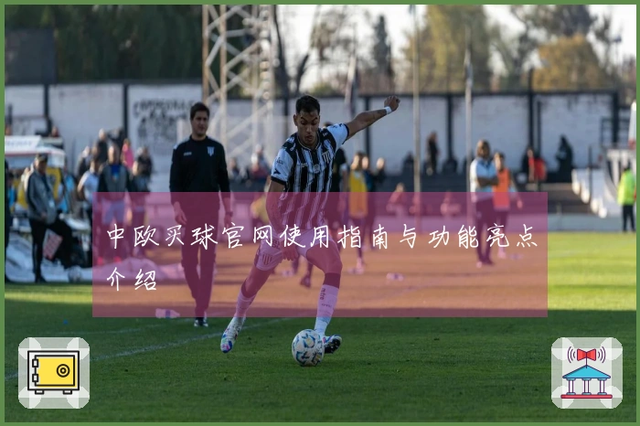 中欧买球官网使用指南与功能亮点介绍