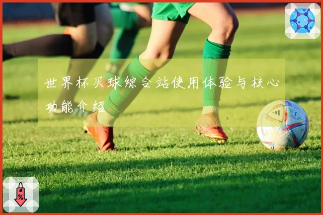 世界杯买球综合站使用体验与核心功能介绍